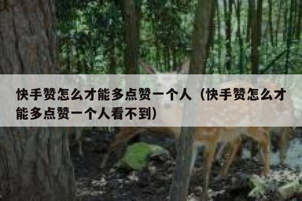 快手赞怎么才能多点赞一个人（快手赞怎么才能多点赞一个人看不到） 第1张
