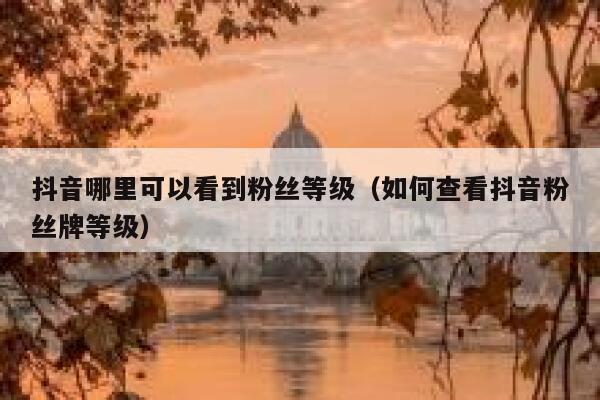 抖音哪里可以看到粉丝等级(如何查看抖音粉丝牌等级) 第1张 抖音哪里可以看到粉丝等级(如何查看抖音粉丝牌等级) 第1张