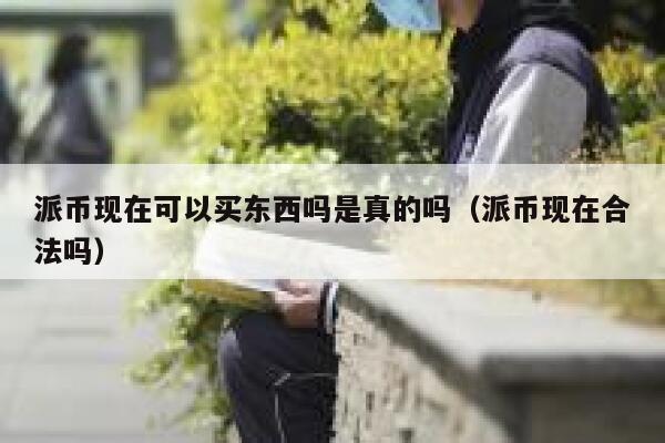 派币现在可以买东西吗是真的吗（派币现在合法吗） 第1张