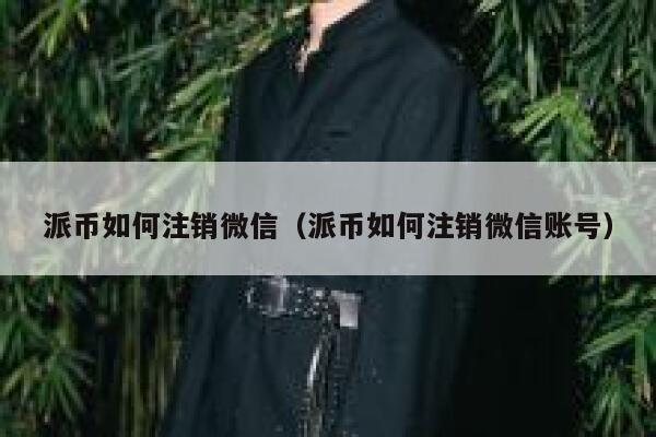派币如何注销微信（派币如何注销微信账号） 第1张