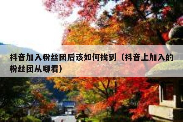 抖音加入粉丝团后该如何找到（抖音上加入的粉丝团从哪看） 第1张