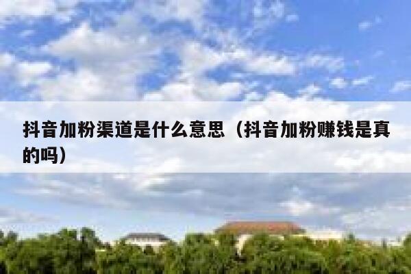 抖音加粉渠道是什么意思（抖音加粉赚钱是真的吗） 第1张