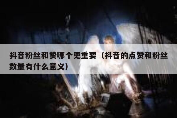 抖音粉丝和赞哪个更重要（抖音的点赞和粉丝数量有什么意义） 第1张