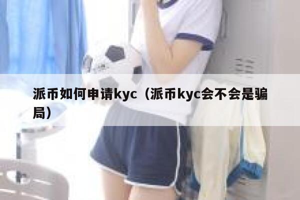 派币如何申请kyc（派币kyc会不会是骗局） 第1张