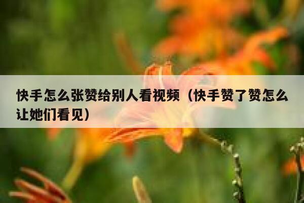 快手怎么张赞给别人看视频（快手赞了赞怎么让她们看见） 第1张