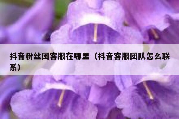 抖音粉丝团客服在哪里(抖音客服团队怎么联系) 第1张 抖音粉丝团客服在哪里(抖音客服团队怎么联系) 第1张