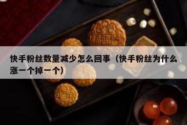 快手粉丝数量减少怎么回事（快手粉丝为什么涨一个掉一个） 第1张
