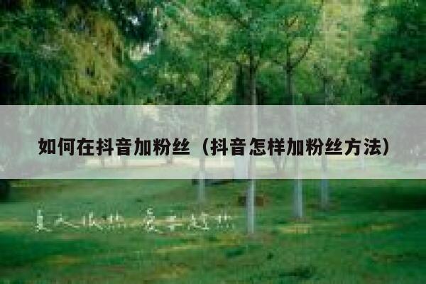 如何在抖音加粉丝（抖音怎样加粉丝方法） 第1张