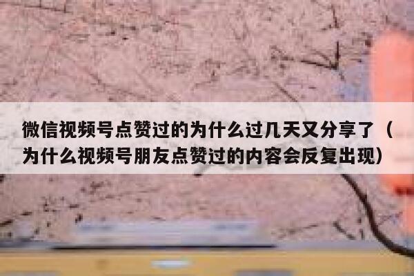 微信视频号点赞过的为什么过几天又分享了(为什么视频号朋友点赞过的内容会反复出现) 第1张 微信视频号点赞过的为什么过几天又分享了(为什么视频号朋友点赞过的内容会反复出现) 第1张