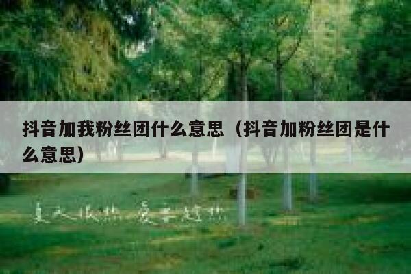 抖音加我粉丝团什么意思（抖音加粉丝团是什么意思） 第1张