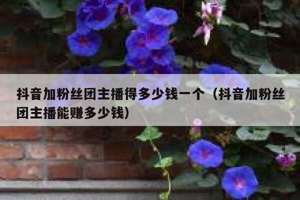 抖音加粉丝团主播得多少钱一个（抖音加粉丝团主播能赚多少钱） 第1张