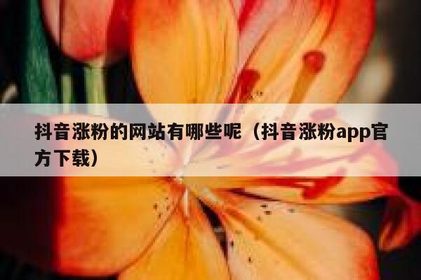 抖音涨粉的网站有哪些呢(抖音涨粉app官方下载) 第1张 抖音涨粉的网站有哪些呢(抖音涨粉app官方下载) 第1张