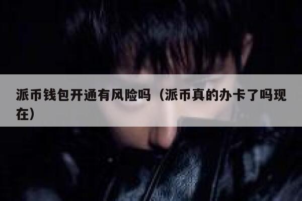 派币钱包开通有风险吗(派币真的办卡了吗现在) 第1张 派币钱包开通有风险吗(派币真的办卡了吗现在) 第1张