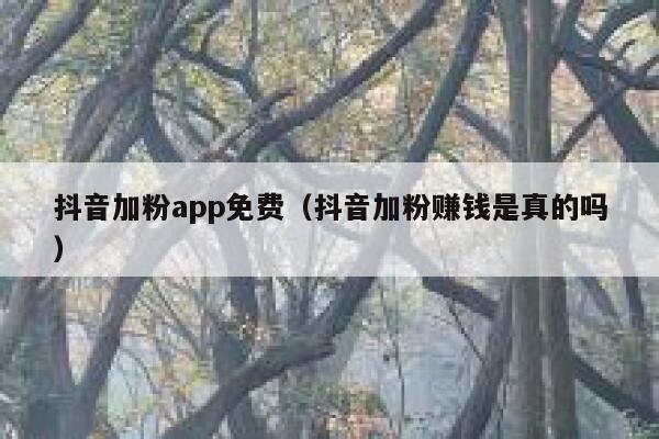 抖音加粉app免费(抖音加粉赚钱是真的吗) 第1张 抖音加粉app免费(抖音加粉赚钱是真的吗) 第1张