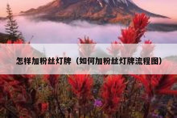 怎样加粉丝灯牌(如何加粉丝灯牌流程图) 第1张 怎样加粉丝灯牌(如何加粉丝灯牌流程图) 第1张