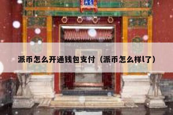 派币怎么开通钱包支付（派币怎么样l了） 第1张