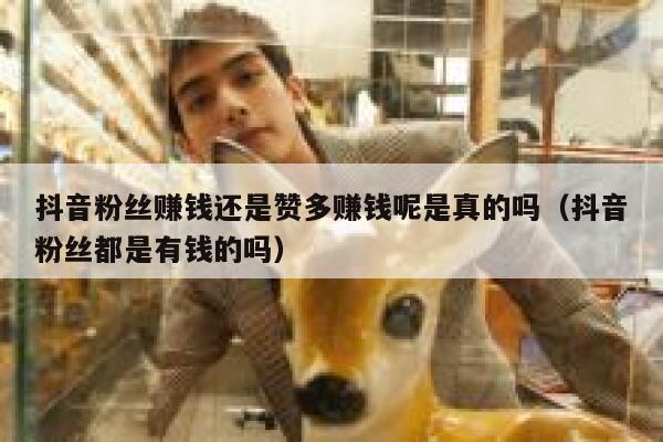 抖音粉丝赚钱还是赞多赚钱呢是真的吗（抖音粉丝都是有钱的吗） 第1张
