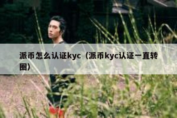 派币怎么认证kyc(派币kyc认证一直转圈) 第1张 派币怎么认证kyc(派币kyc认证一直转圈) 第1张