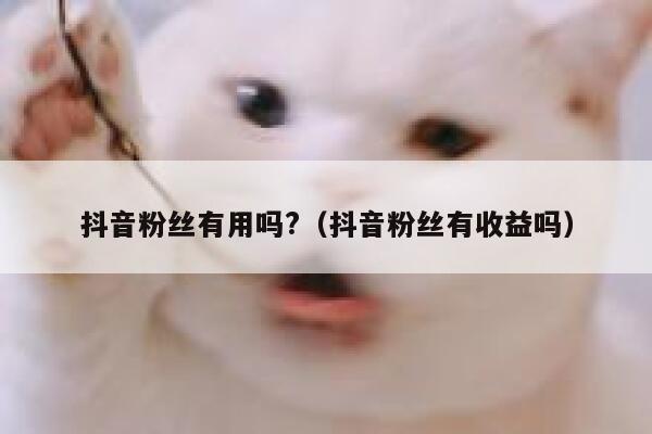抖音粉丝有用吗?（抖音粉丝有收益吗） 第1张