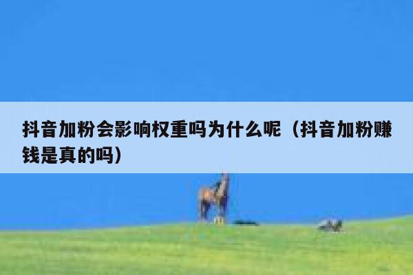 抖音加粉会影响权重吗为什么呢(抖音加粉赚钱是真的吗) 第1张 抖音加粉会影响权重吗为什么呢(抖音加粉赚钱是真的吗) 第1张