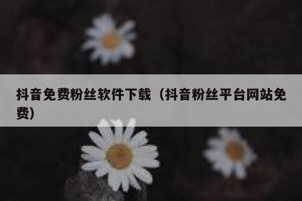 抖音免费粉丝软件下载(抖音粉丝平台网站免费) 第1张 抖音免费粉丝软件下载(抖音粉丝平台网站免费) 第1张