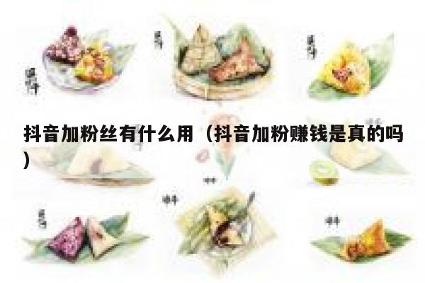 抖音加粉丝有什么用（抖音加粉赚钱是真的吗） 第1张