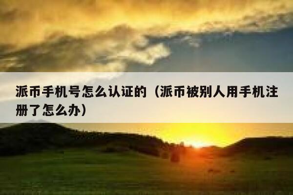 派币手机号怎么认证的(派币被别人用手机注册了怎么办) 第1张 派币手机号怎么认证的(派币被别人用手机注册了怎么办) 第1张