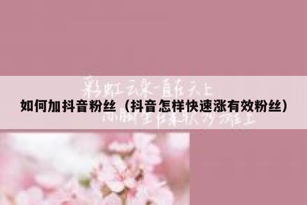 如何加抖音粉丝(抖音怎样快速涨有效粉丝) 第1张 如何加抖音粉丝(抖音怎样快速涨有效粉丝) 第1张