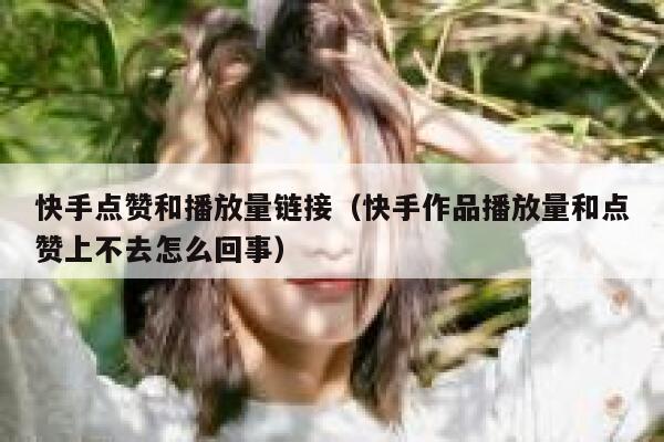 快手点赞和播放量链接(快手作品播放量和点赞上不去怎么回事) 第1张 快手点赞和播放量链接(快手作品播放量和点赞上不去怎么回事) 第1张