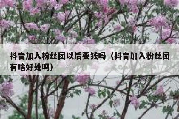 抖音加入粉丝团以后要钱吗(抖音加入粉丝团有啥好处吗) 第1张 抖音加入粉丝团以后要钱吗(抖音加入粉丝团有啥好处吗) 第1张