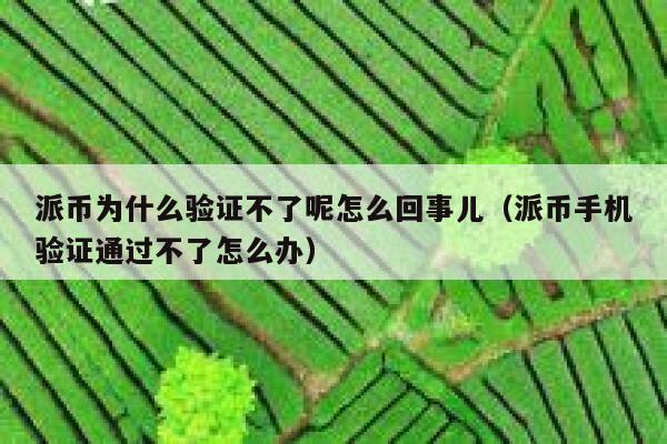 派币为什么验证不了呢怎么回事儿(派币手机验证通过不了怎么办) 第1张 派币为什么验证不了呢怎么回事儿(派币手机验证通过不了怎么办) 第1张