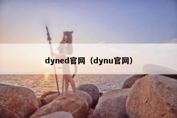 dyned官网（dynu官网） 第1张