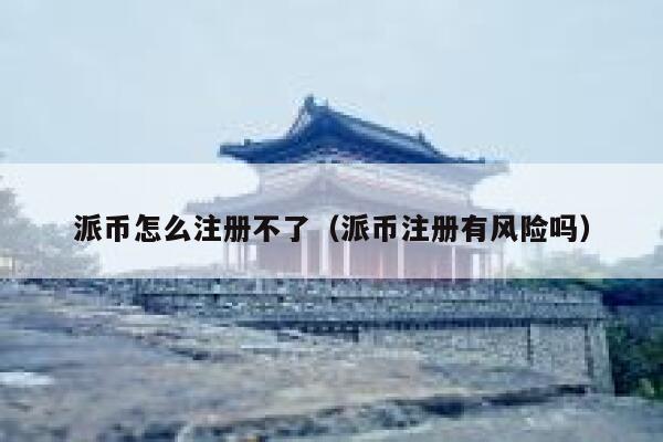 派币怎么注册不了（派币注册有风险吗） 第1张