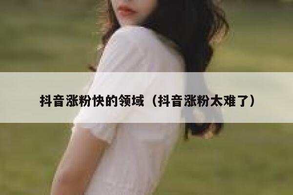 抖音涨粉快的领域（抖音涨粉太难了） 第1张