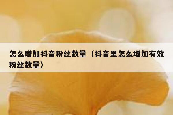 怎么增加抖音粉丝数量（抖音里怎么增加有效粉丝数量） 第1张