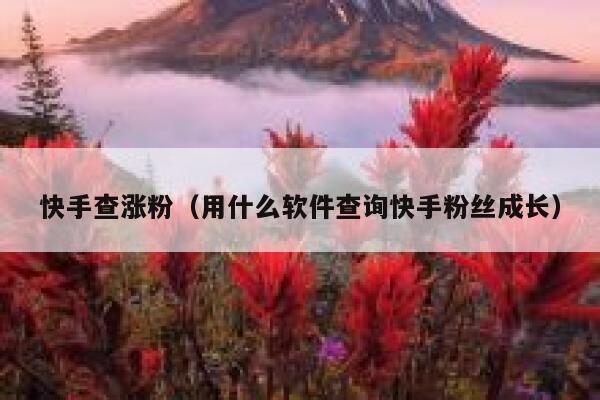 快手查涨粉(用什么软件查询快手粉丝成长) 第1张 快手查涨粉(用什么软件查询快手粉丝成长) 第1张