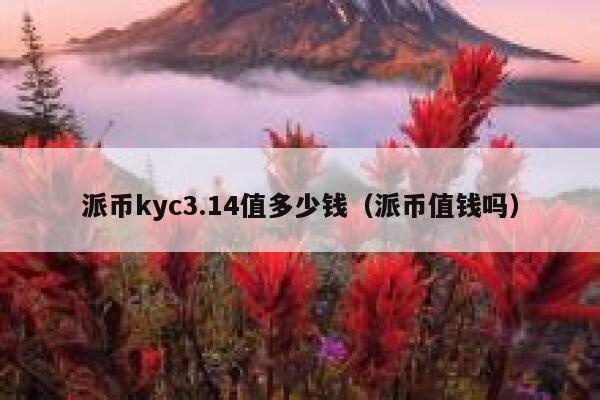 派币kyc3.14值多少钱（派币值钱吗） 第1张