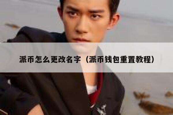 派币怎么更改名字（派币钱包重置教程） 第1张