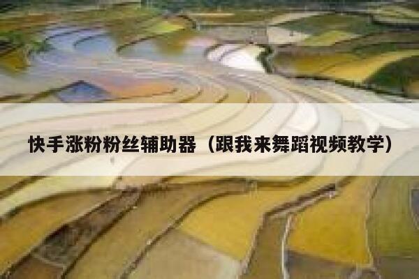 快手涨粉粉丝辅助器（跟我来舞蹈视频教学） 第1张