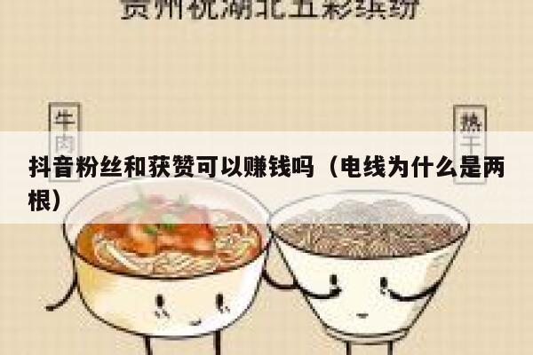 抖音粉丝和获赞可以赚钱吗(电线为什么是两根) 第1张 抖音粉丝和获赞可以赚钱吗(电线为什么是两根) 第1张