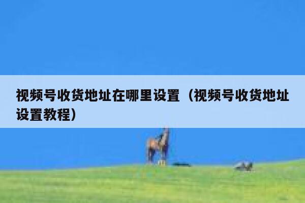 视频号收货地址在哪里设置（视频号收货地址设置教程） 第1张