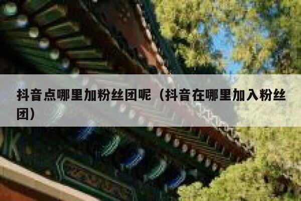 抖音点哪里加粉丝团呢（抖音在哪里加入粉丝团） 第1张