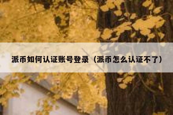 派币如何认证账号登录（派币怎么认证不了） 第1张