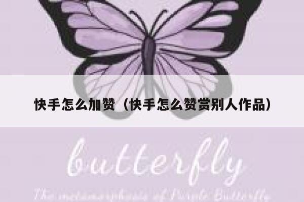 快手怎么加赞（快手怎么赞赏别人作品） 第1张