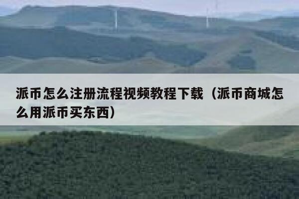 派币怎么注册流程视频教程下载（派币商城怎么用派币买东西） 第1张