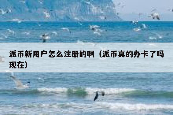 派币新用户怎么注册的啊（派币真的办卡了吗现在） 第1张