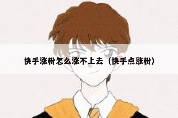 快手涨粉怎么涨不上去（快手点涨粉） 第1张