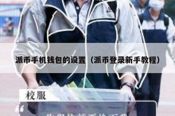 派币手机钱包的设置（派币登录新手教程） 第1张