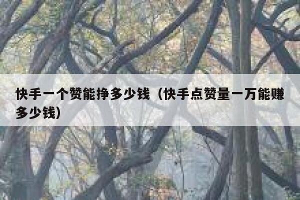 快手一个赞能挣多少钱（快手点赞量一万能赚多少钱） 第1张