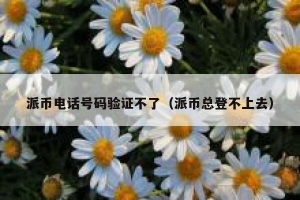 派币电话号码验证不了（派币总登不上去） 第1张